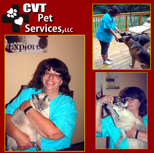 CVTPet Services 193